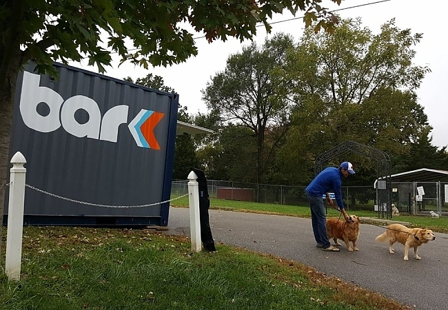 Bark